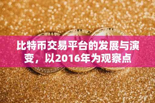 比特币交易平台的发展与演变，以2016年为观察点