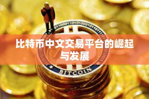 比特币中文交易平台的崛起与发展