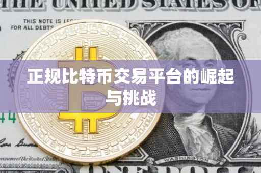 正规比特币交易平台的崛起与挑战