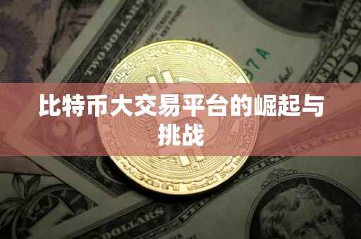 比特币大交易平台的崛起与挑战