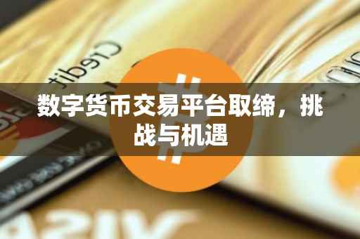 数字货币交易平台取缔，挑战与机遇