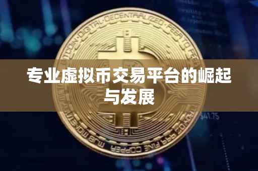 专业虚拟币交易平台的崛起与发展