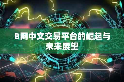 B网中文交易平台的崛起与未来展望