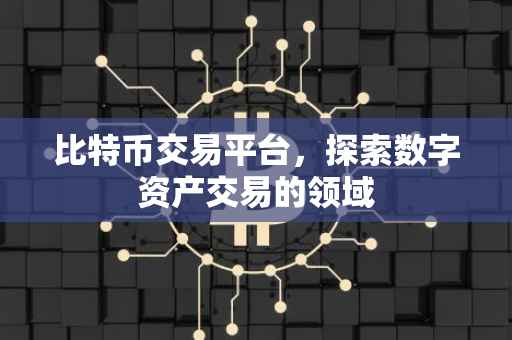 比特币交易平台，探索数字资产交易的领域