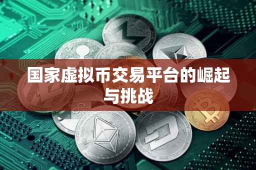 国家虚拟币交易平台的崛起与挑战
