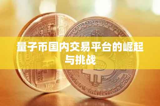 量子币国内交易平台的崛起与挑战