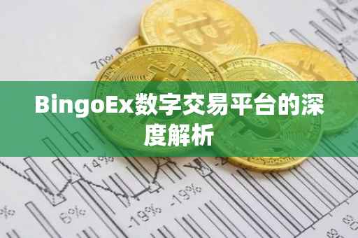 BingoEx数字交易平台的深度解析