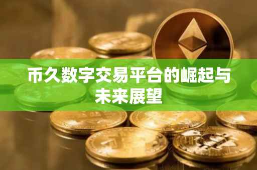 币久数字交易平台的崛起与未来展望