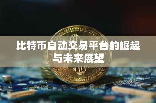 比特币自动交易平台的崛起与未来展望