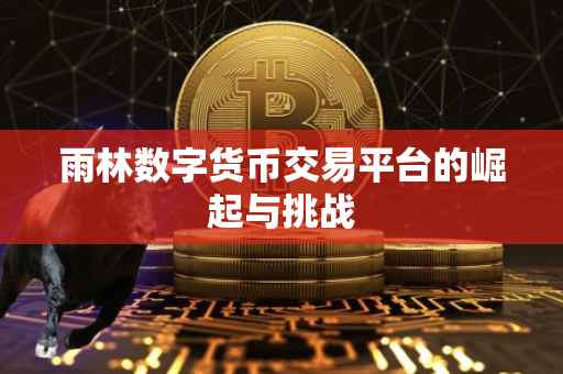 雨林数字货币交易平台的崛起与挑战