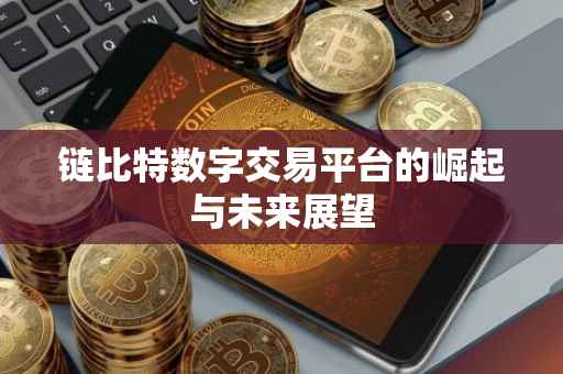 链比特数字交易平台的崛起与未来展望