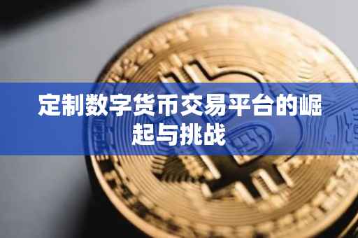 定制数字货币交易平台的崛起与挑战