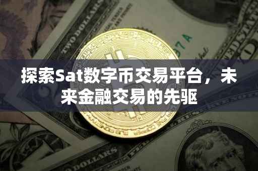 探索Sat数字币交易平台，未来金融交易的先驱