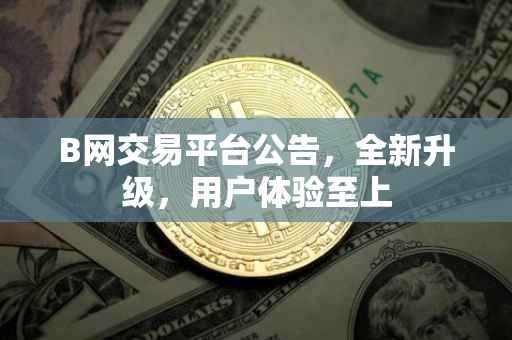 B网交易平台公告，全新升级，用户体验至上