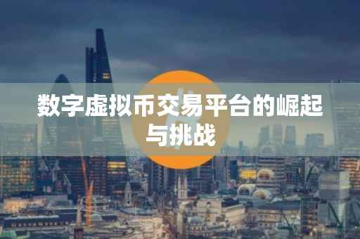 数字虚拟币交易平台的崛起与挑战