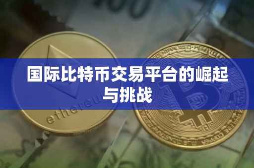国际比特币交易平台的崛起与挑战