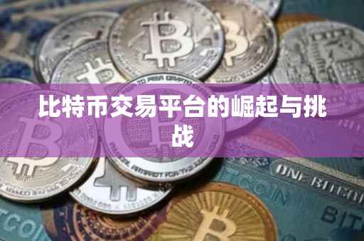 比特币交易平台的崛起与挑战