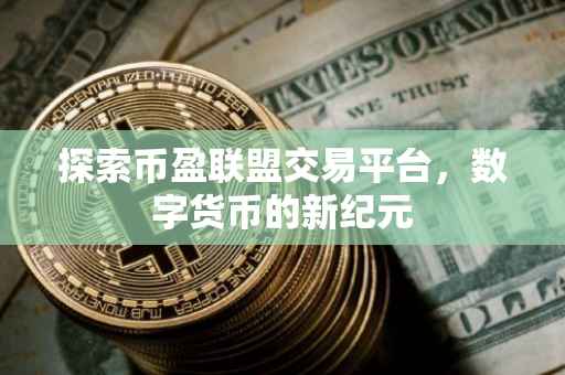 探索币盈联盟交易平台，数字货币的新纪元
