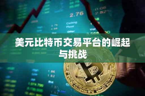 美元比特币交易平台的崛起与挑战