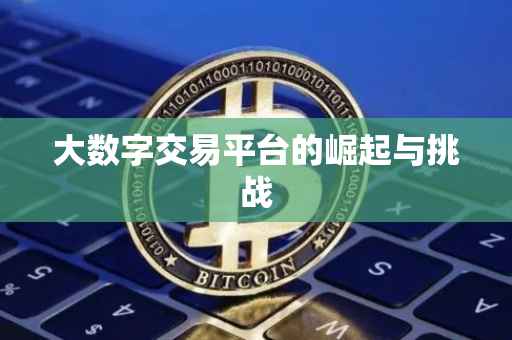 大数字交易平台的崛起与挑战