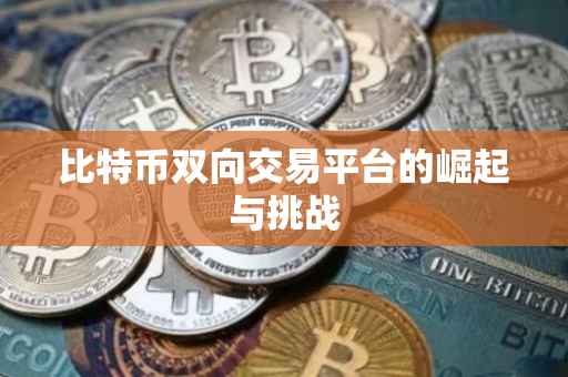 比特币双向交易平台的崛起与挑战