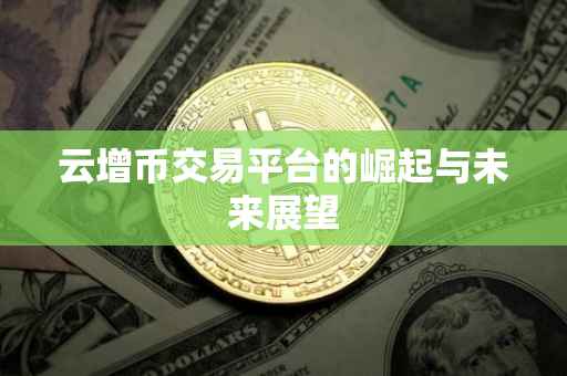云增币交易平台的崛起与未来展望