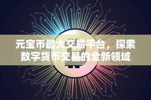 元宝币最大交易平台，探索数字货币交易的全新领域