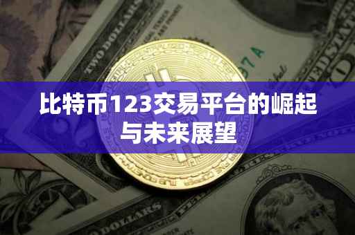 比特币123交易平台的崛起与未来展望