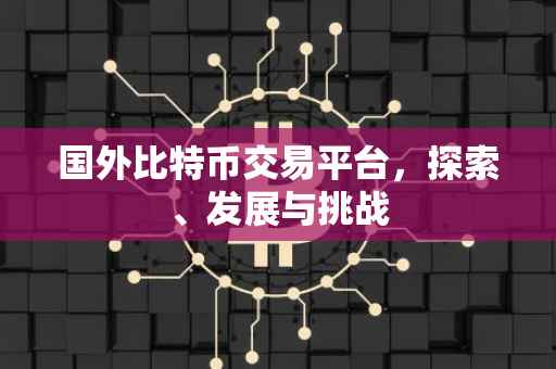 国外比特币交易平台，探索、发展与挑战