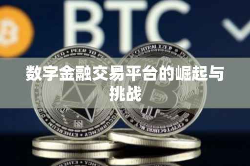 数字金融交易平台的崛起与挑战