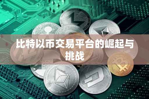比特以币交易平台的崛起与挑战