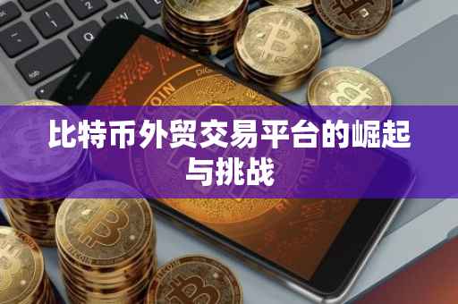 比特币外贸交易平台的崛起与挑战