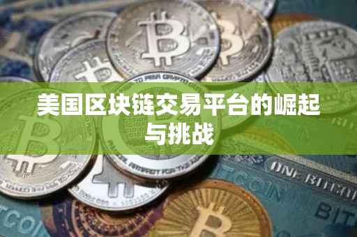 美国区块链交易平台的崛起与挑战