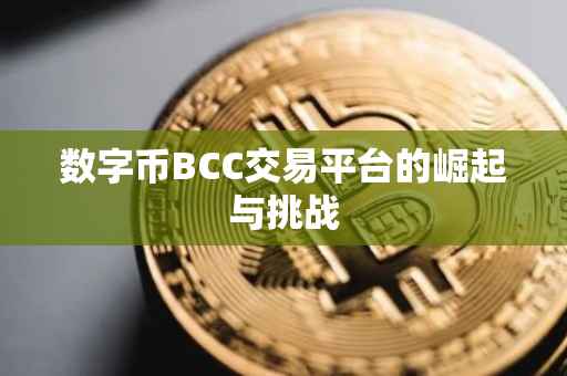 数字币BCC交易平台的崛起与挑战