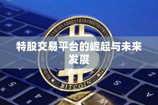 特股交易平台的崛起与未来发展
