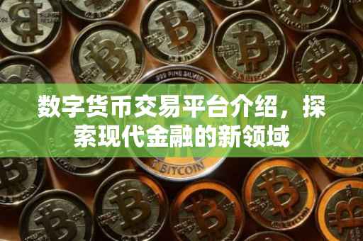 数字货币交易平台介绍，探索现代金融的新领域