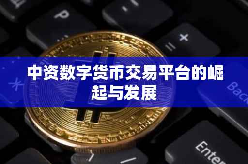 中资数字货币交易平台的崛起与发展