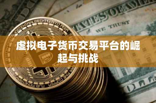虚拟电子货币交易平台的崛起与挑战