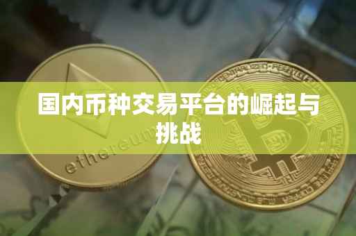 国内币种交易平台的崛起与挑战