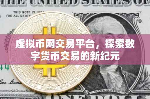 虚拟币网交易平台，探索数字货币交易的新纪元