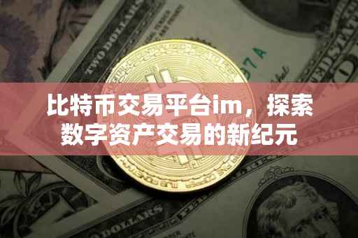 比特币交易平台im，探索数字资产交易的新纪元