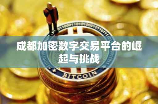 成都加密数字交易平台的崛起与挑战