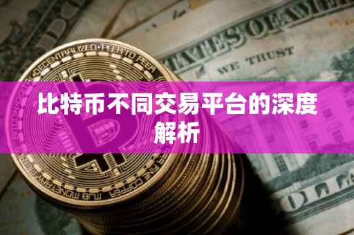 比特币不同交易平台的深度解析