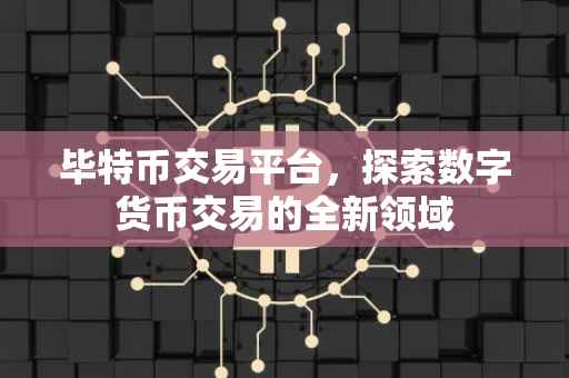 毕特币交易平台，探索数字货币交易的全新领域