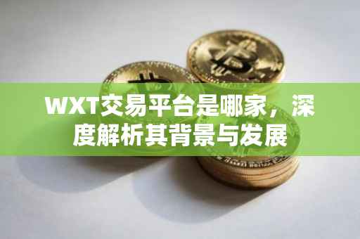 WXT交易平台是哪家，深度解析其背景与发展