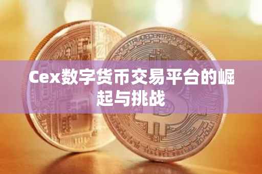 Cex数字货币交易平台的崛起与挑战
