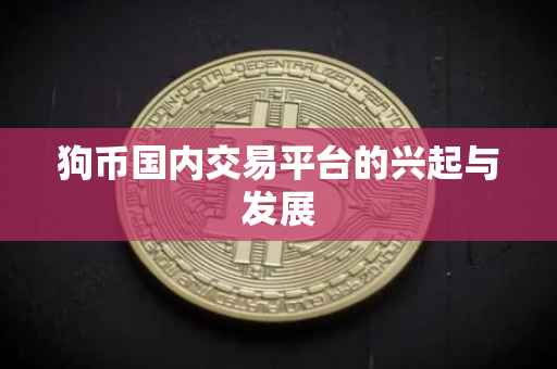 狗币国内交易平台的兴起与发展