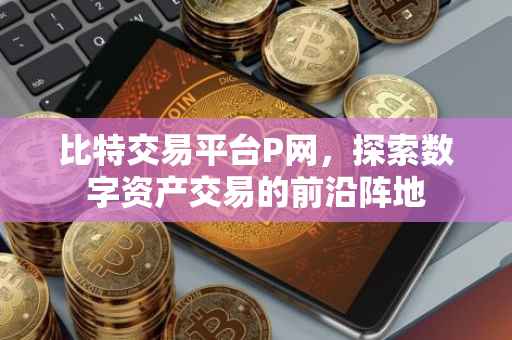 比特交易平台P网，探索数字资产交易的前沿阵地