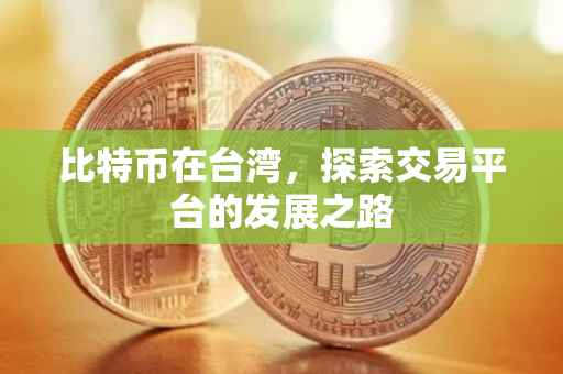 比特币在台湾，探索交易平台的发展之路