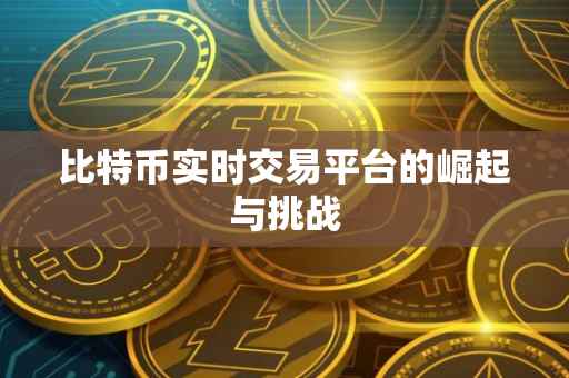 比特币实时交易平台的崛起与挑战